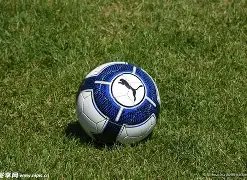 首节广东败,给吉林,贝兹利徐杰,500足球即时比分,500比分,500体育比分网,比分直播