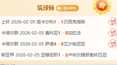 蒂格：澳大利亚代表之梦坚定，即便中国队接触亦不动摇